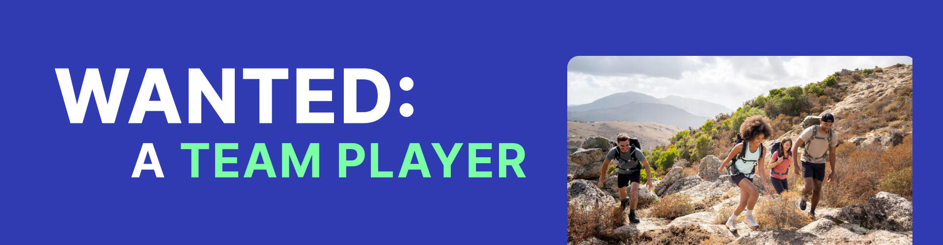 Wanted A Team Player