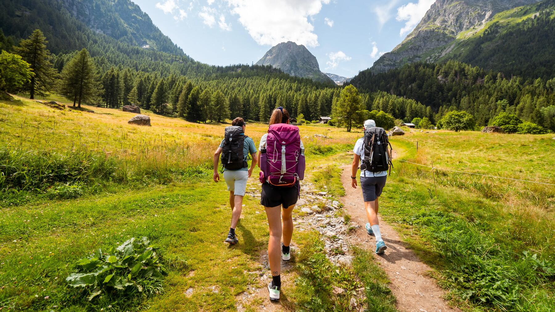 Erfahre hier alle Informationen über Höhenwanderwege gemeinsam mit deinen Kindern!