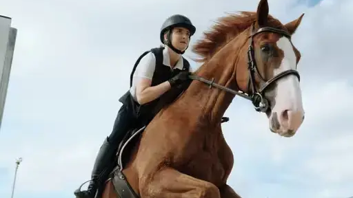 3 LUGARES DONDE PUEDES PRACTICAR EQUITACIÓN EN LA SABANA DE BOGOTÁ