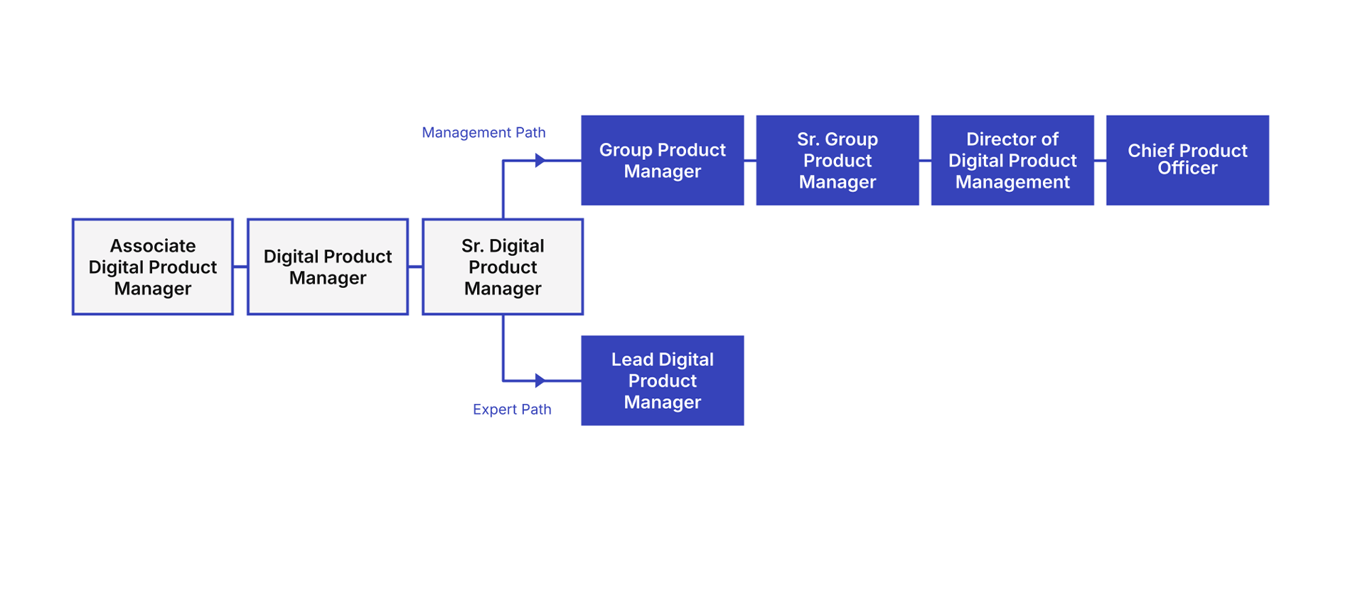 Product Management