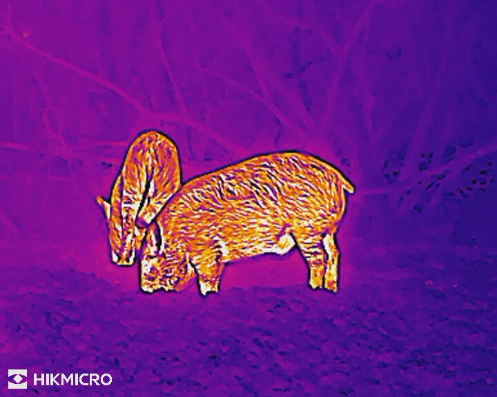 Comment choisir son monoculaire thermique pour la chasse ?