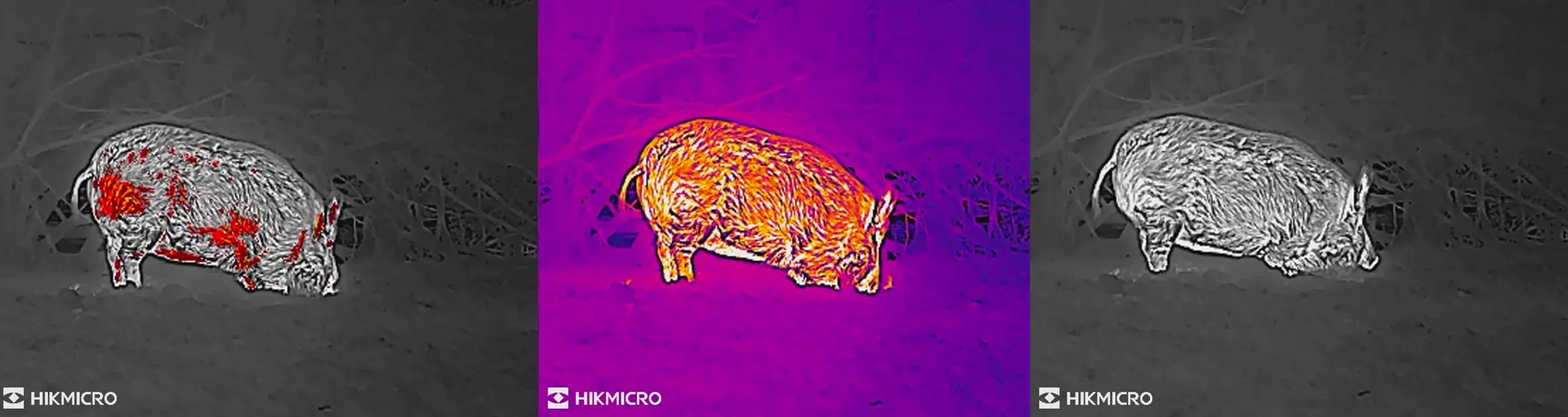 Différentes couleurs proposées par un modèle de monoculaire thermique Hikmicro