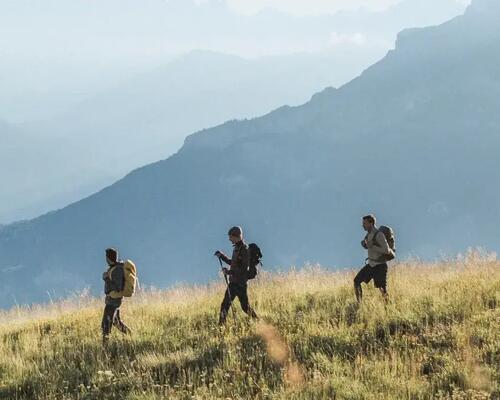 Wandern an der Mosel: Die schönsten Routen & Pfade