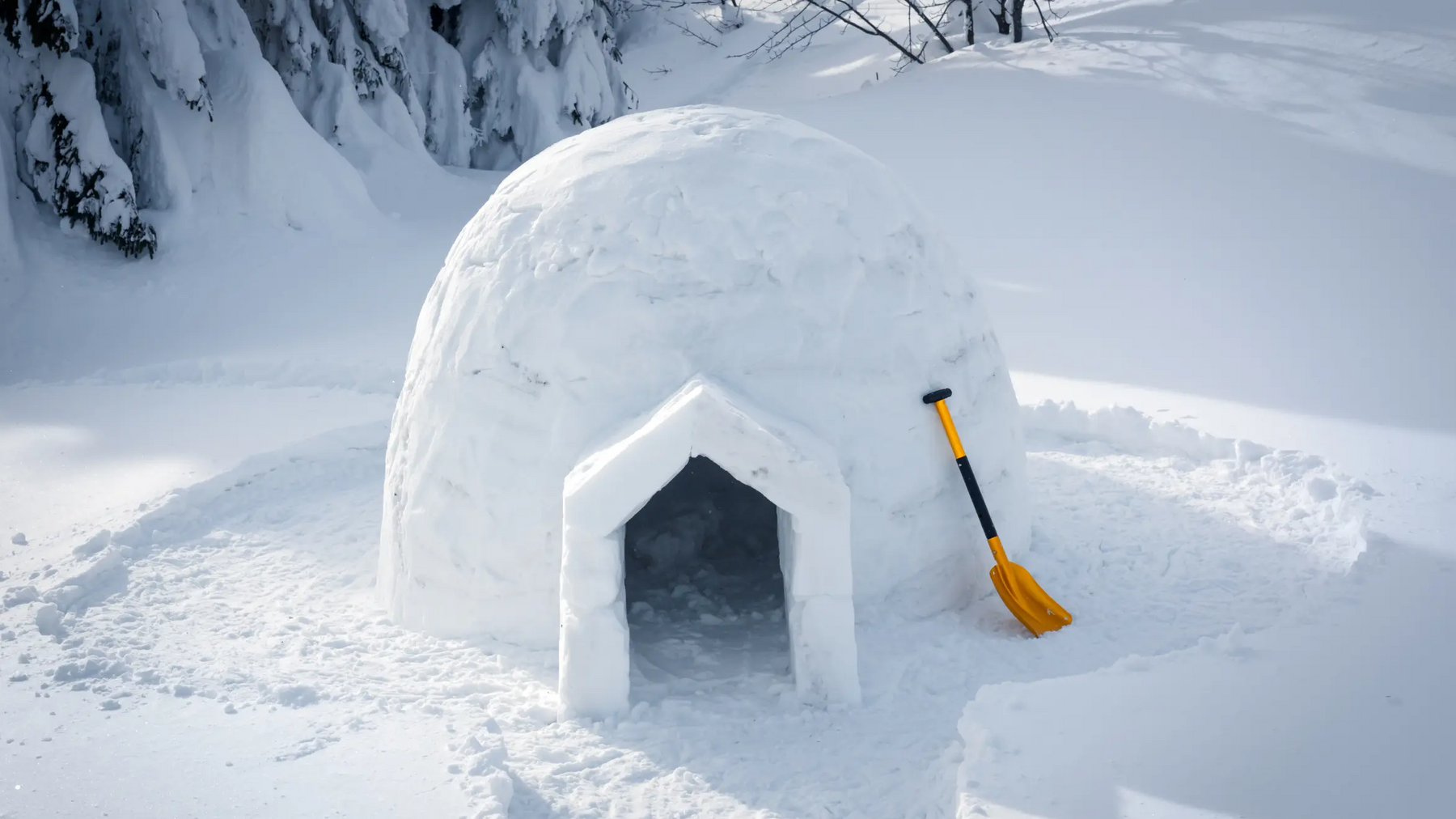 Igloo