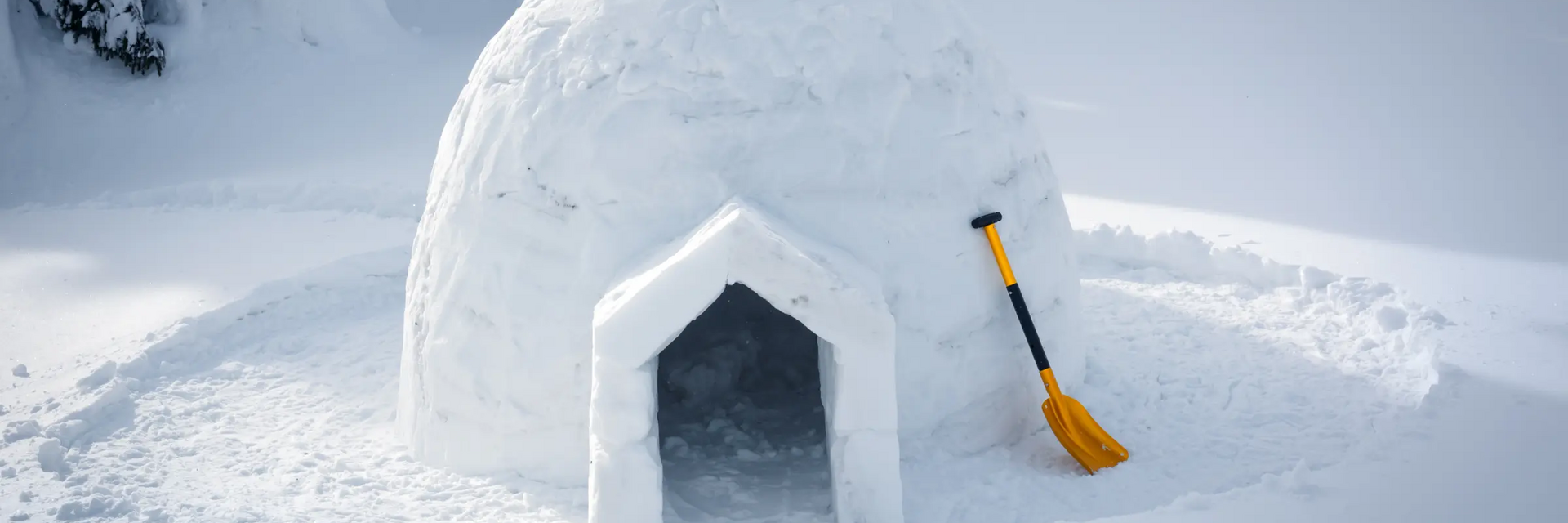 Grafika przedstawiająca zbudowane igloo