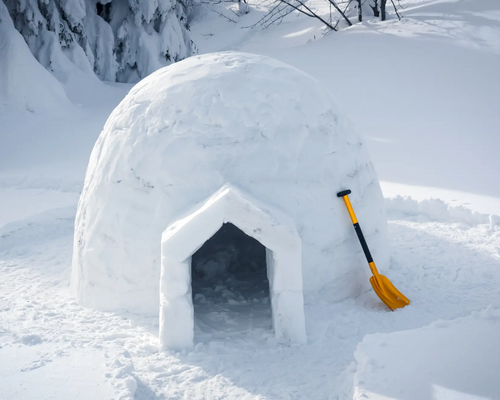 Grafika przedstawiająca zbudowane igloo 