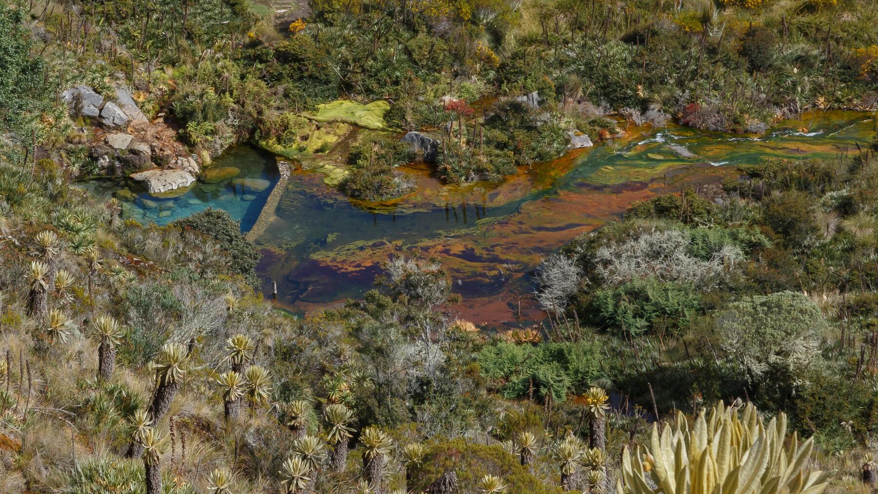 Termales La Cabaña, paraíso en el Parque Nacional Natural los Nevados