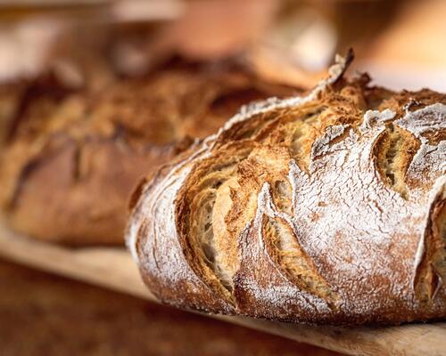 Receta para preparar pan proteico, el complemento ideal para tu dieta