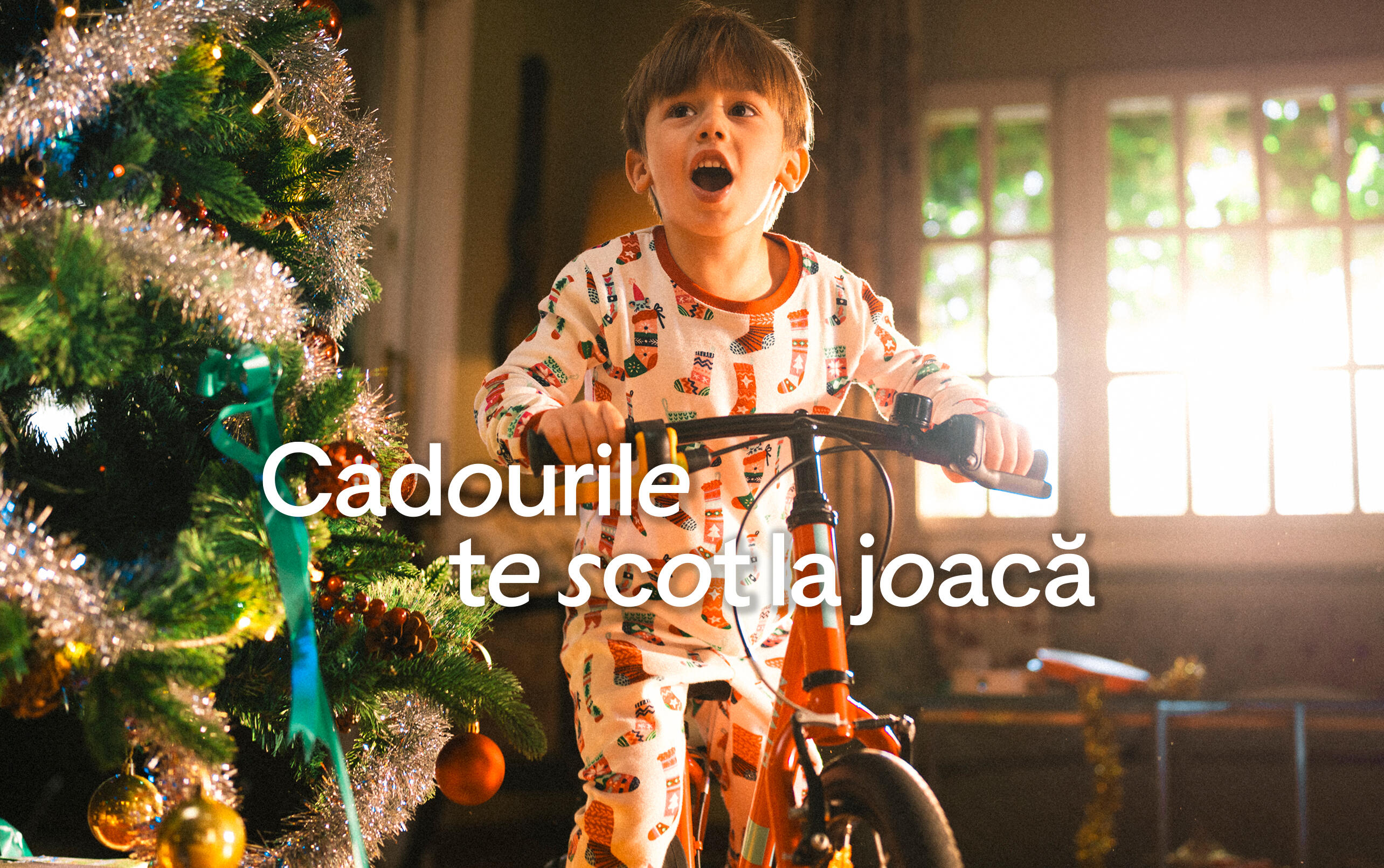 Texte alternative image