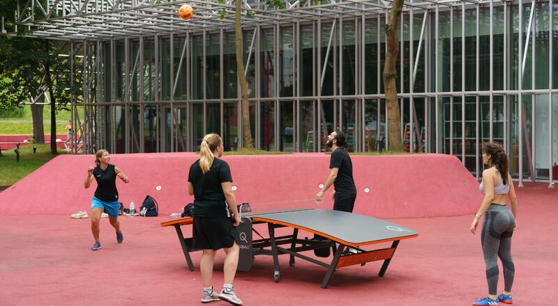 Zasady gry w teqball. Co to za dyscyplina sportu?