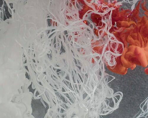 How recycled polyester transforms our waste into clothes 