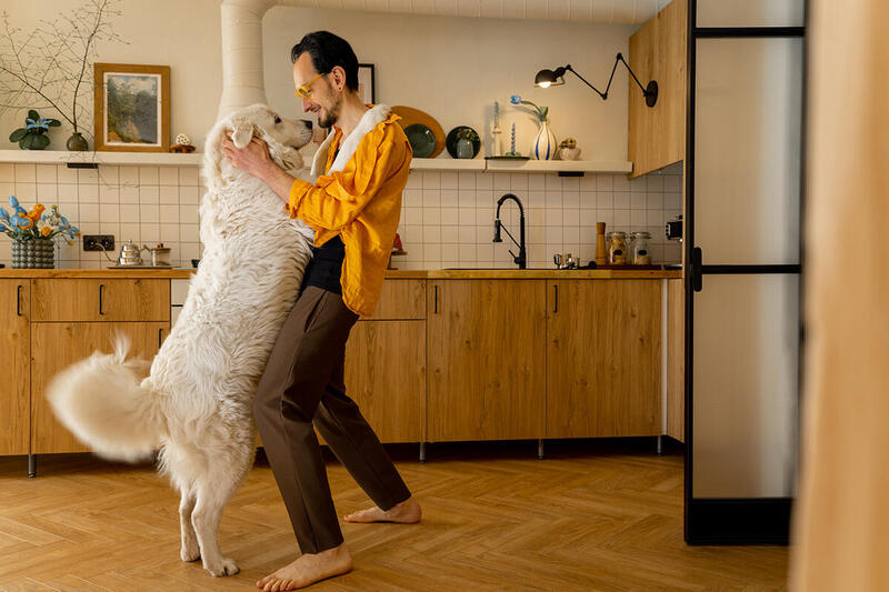 Taniec z psem – na czym polega dog dancing?