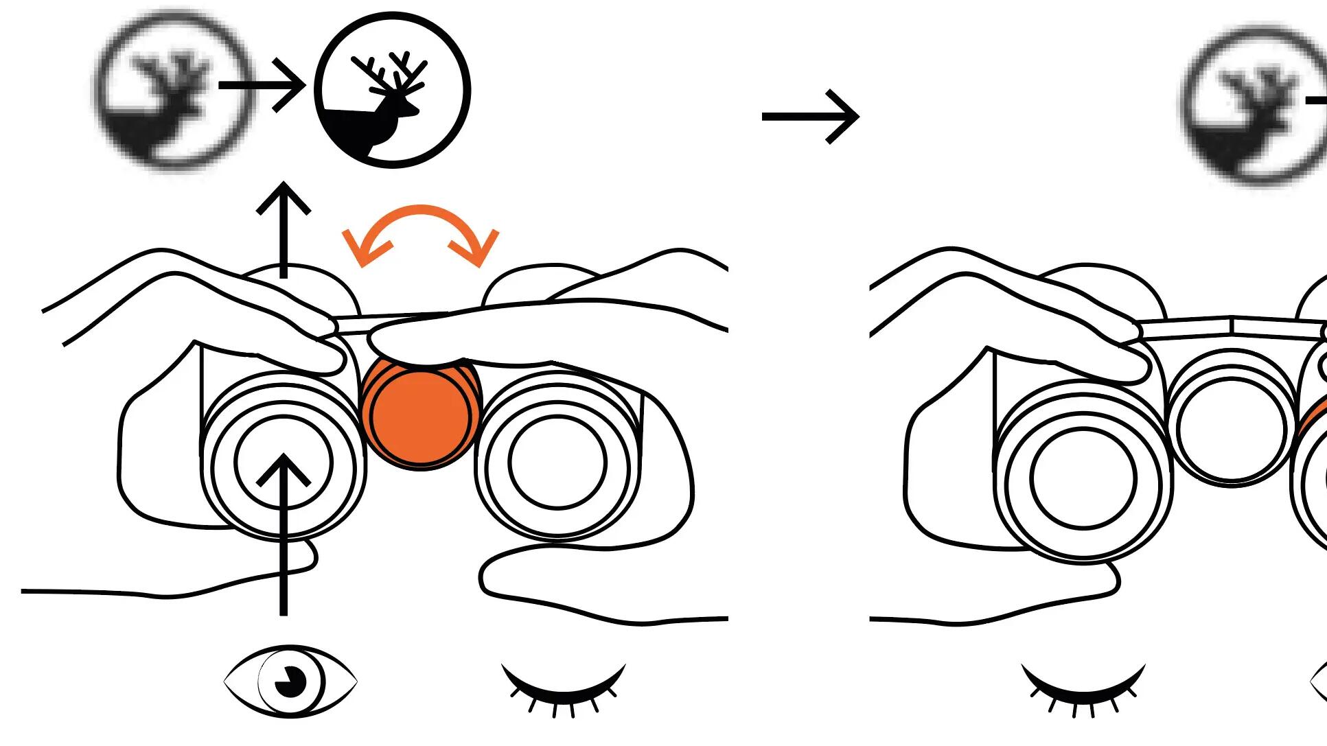 Schema für die Dioptrieneinstellung der bei einem Fernglas