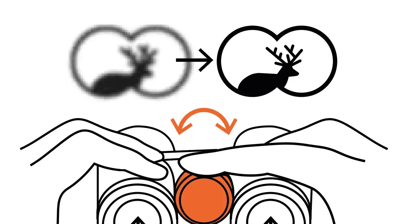 Schema für die Einstellung der Schärfe bei einem Fernglas
