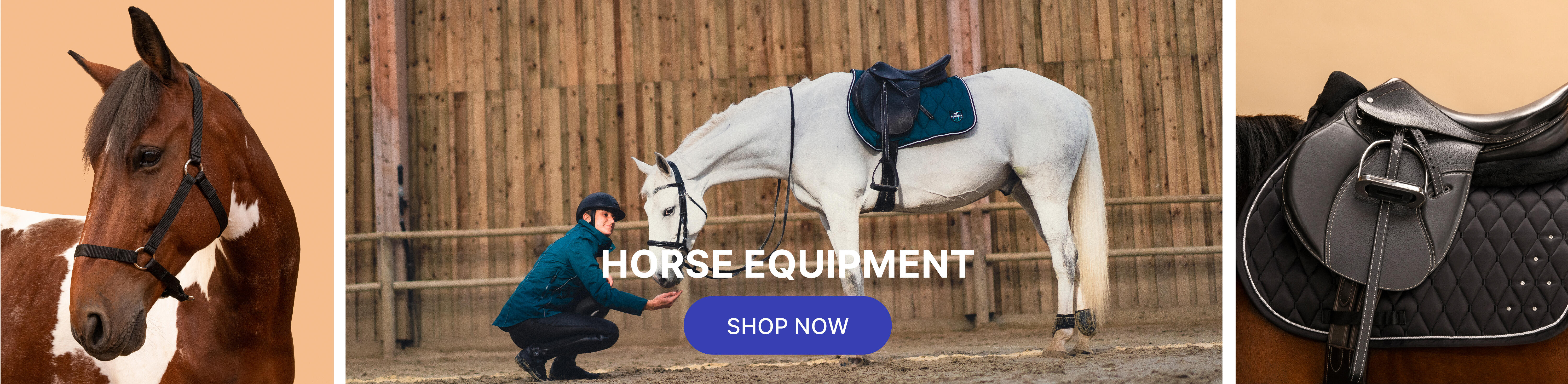 Horse Equipments
