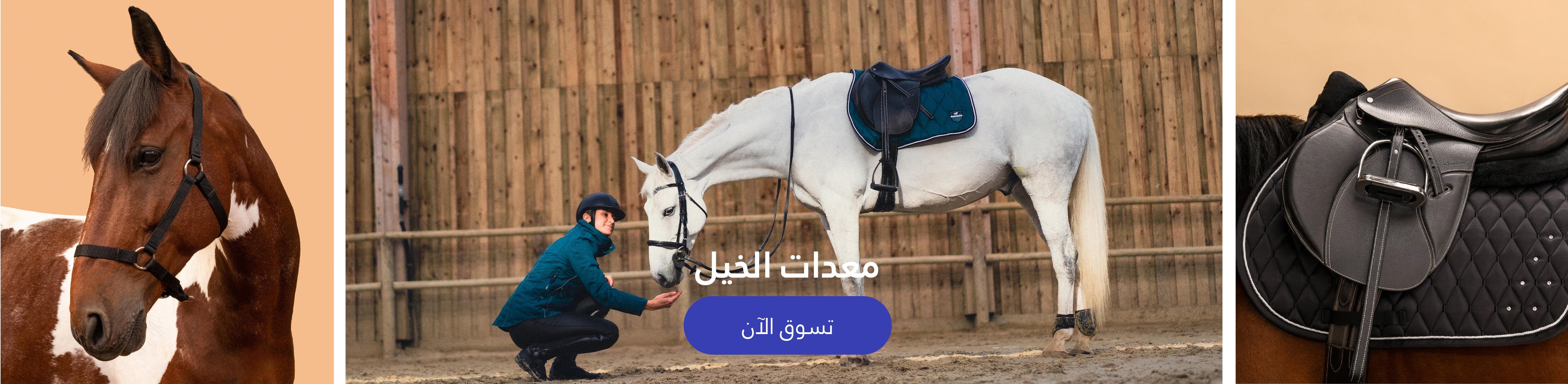 Horse Equip