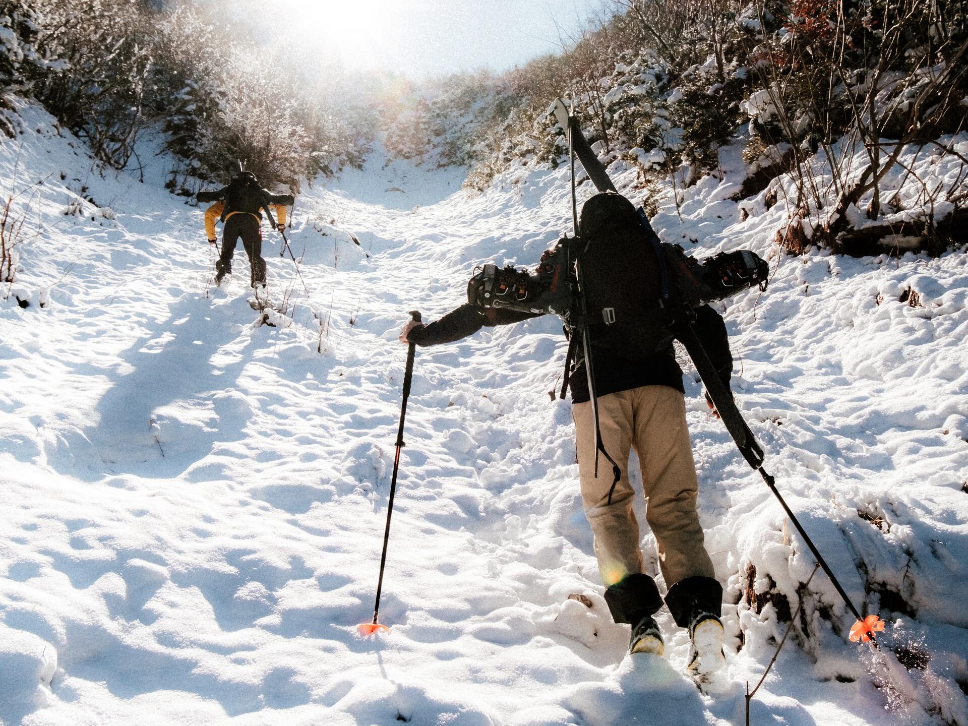 Kisses from Losanfjord : 5 jours pour un défi vélo-ski inoubliable !