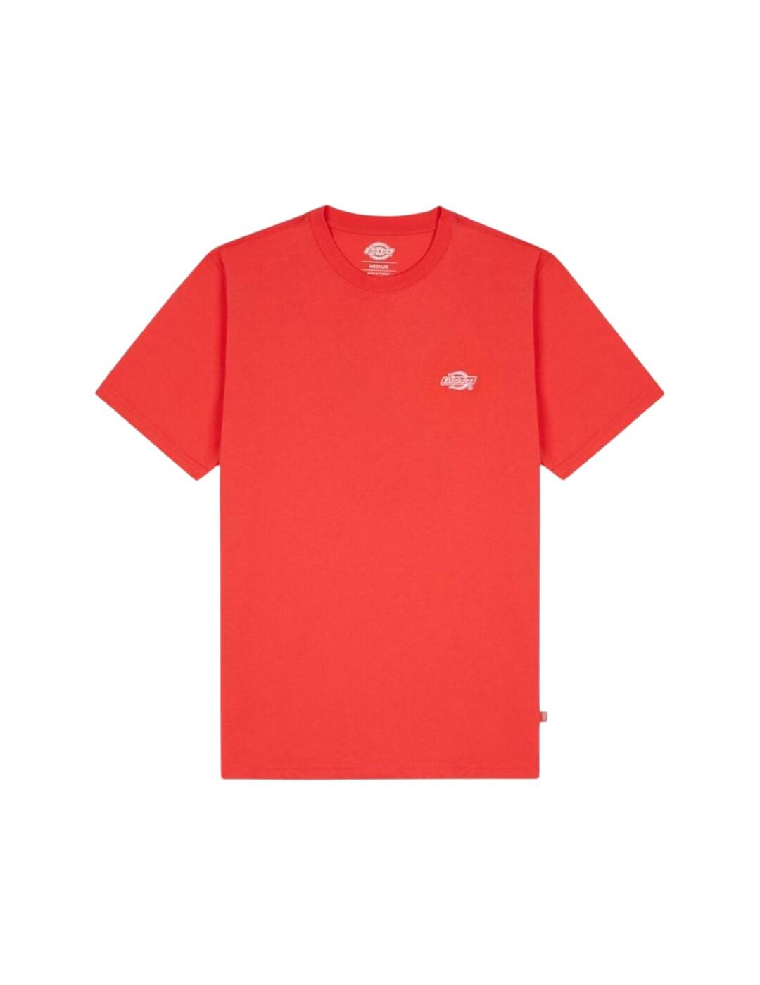 Camisetas dickies