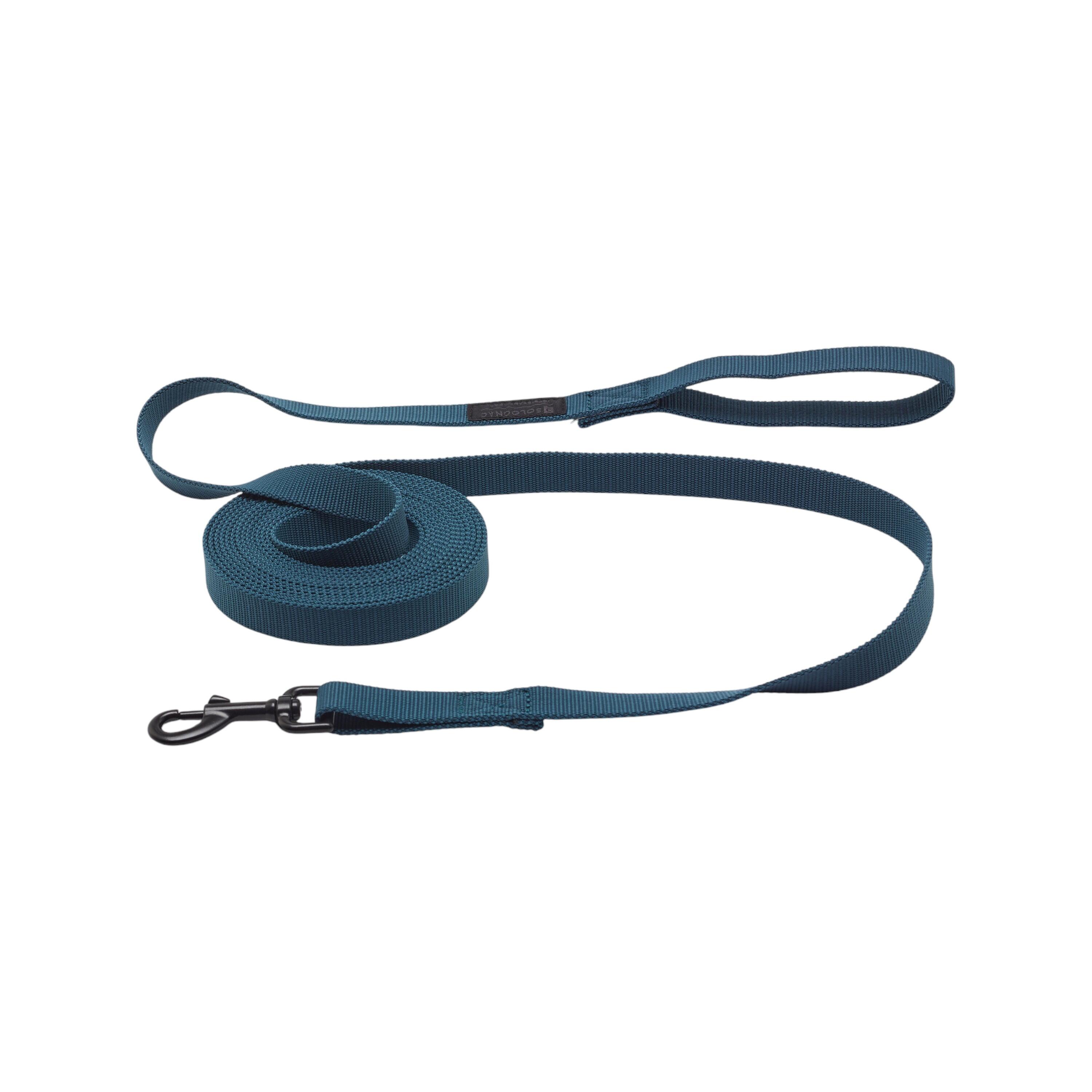 Accesorios paseo perro