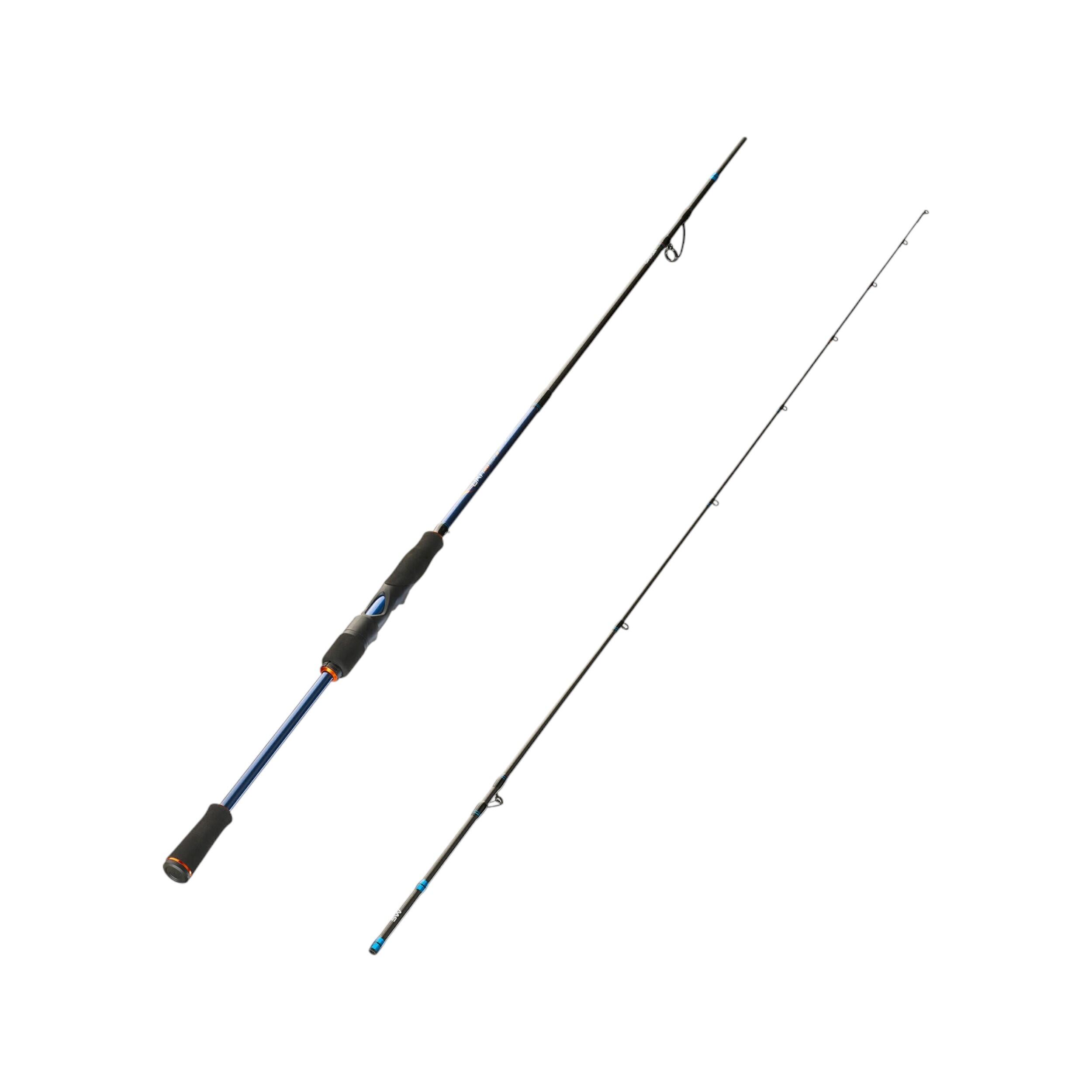 Pesca del calamar