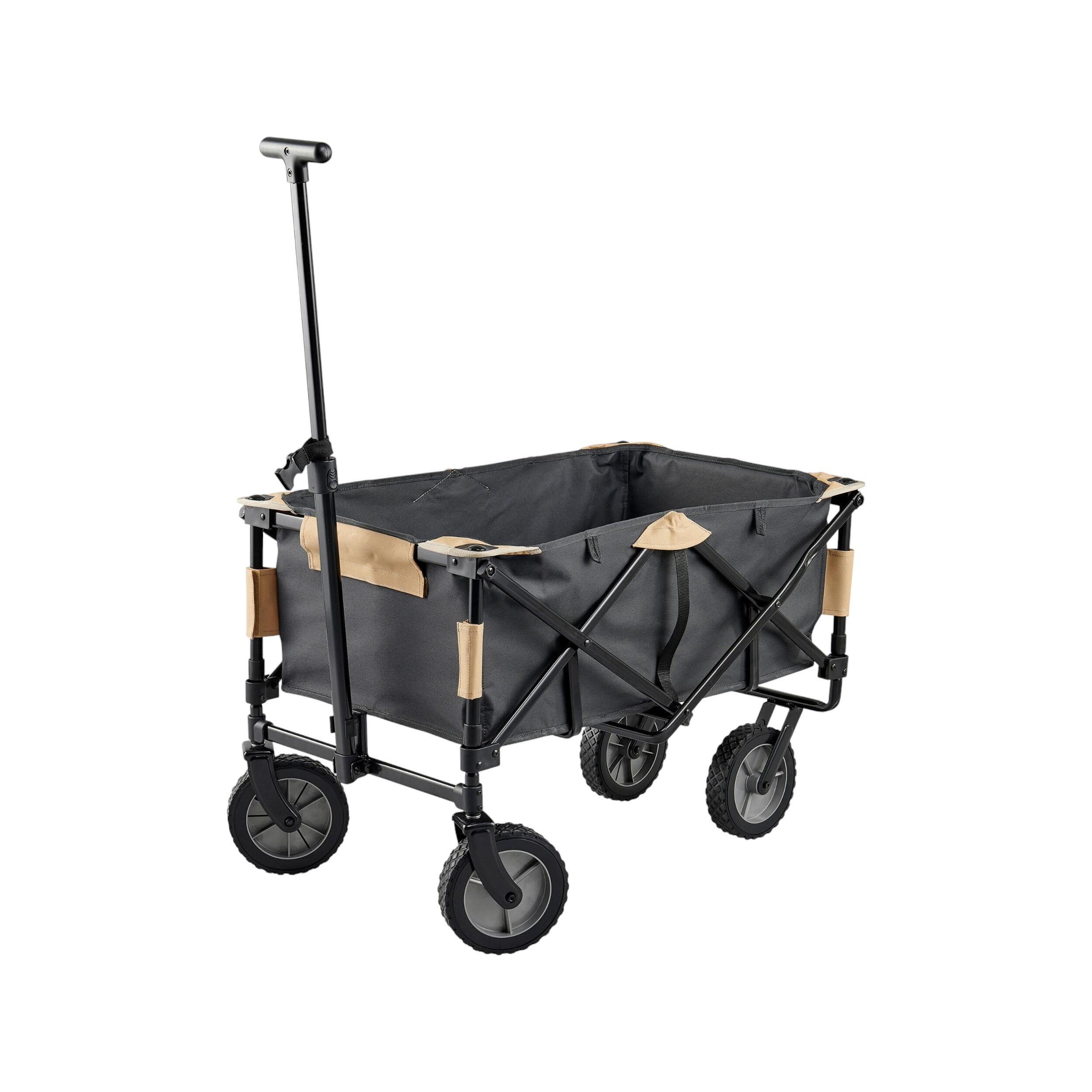 Carro transporte