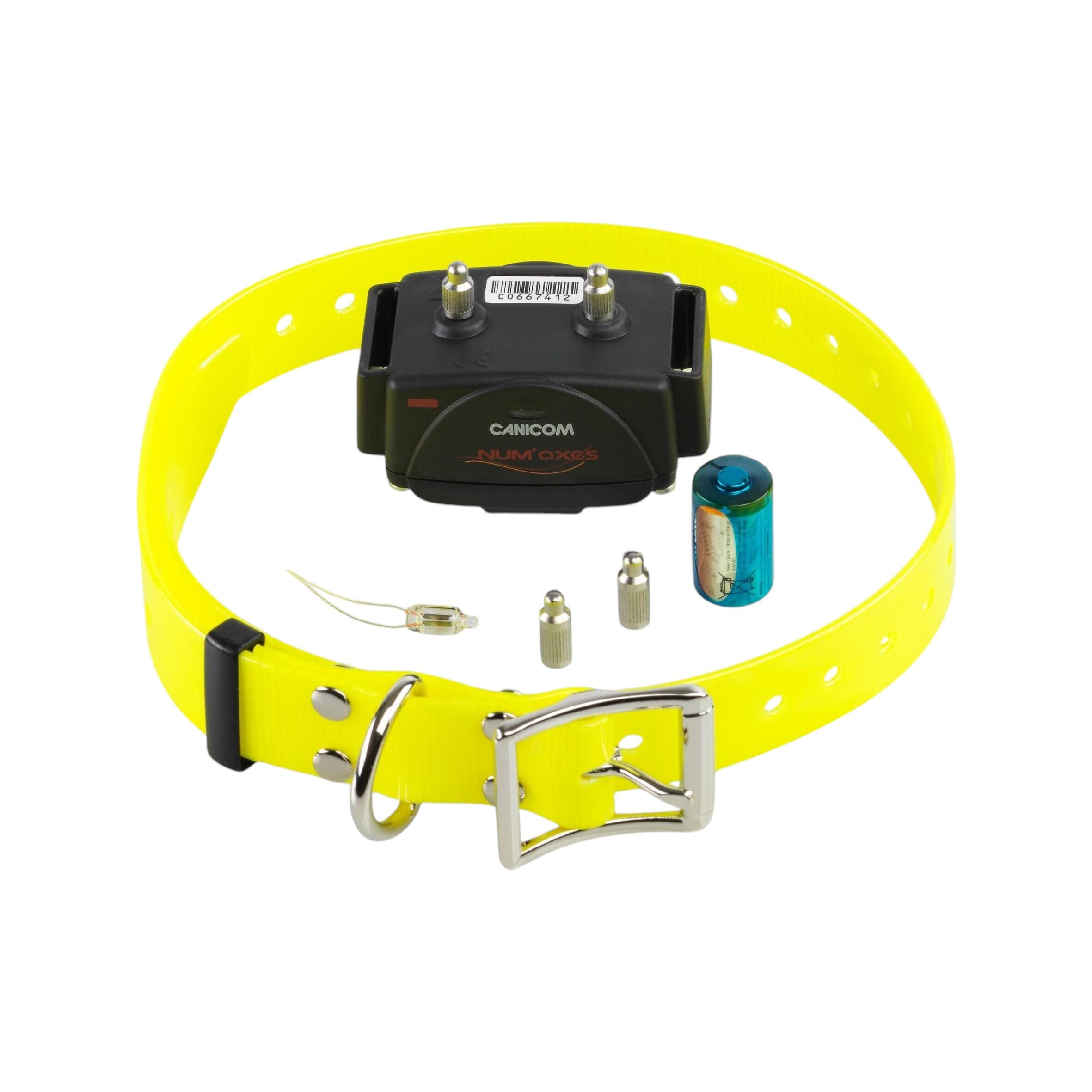 Collares de adiestramiento