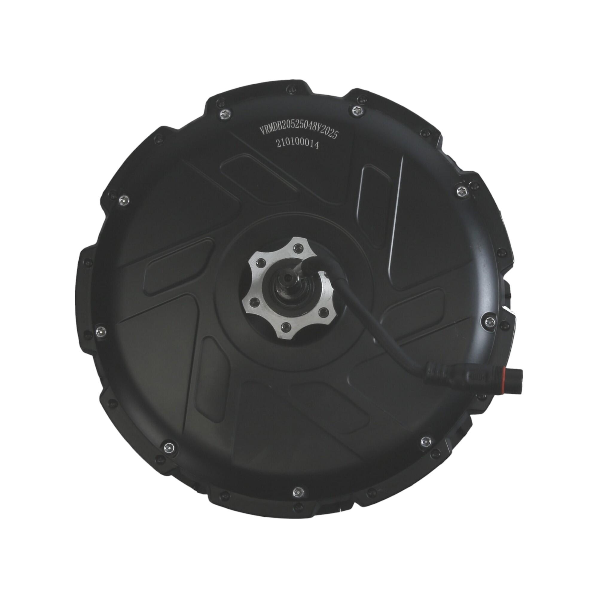 Motor bicicleta electrica