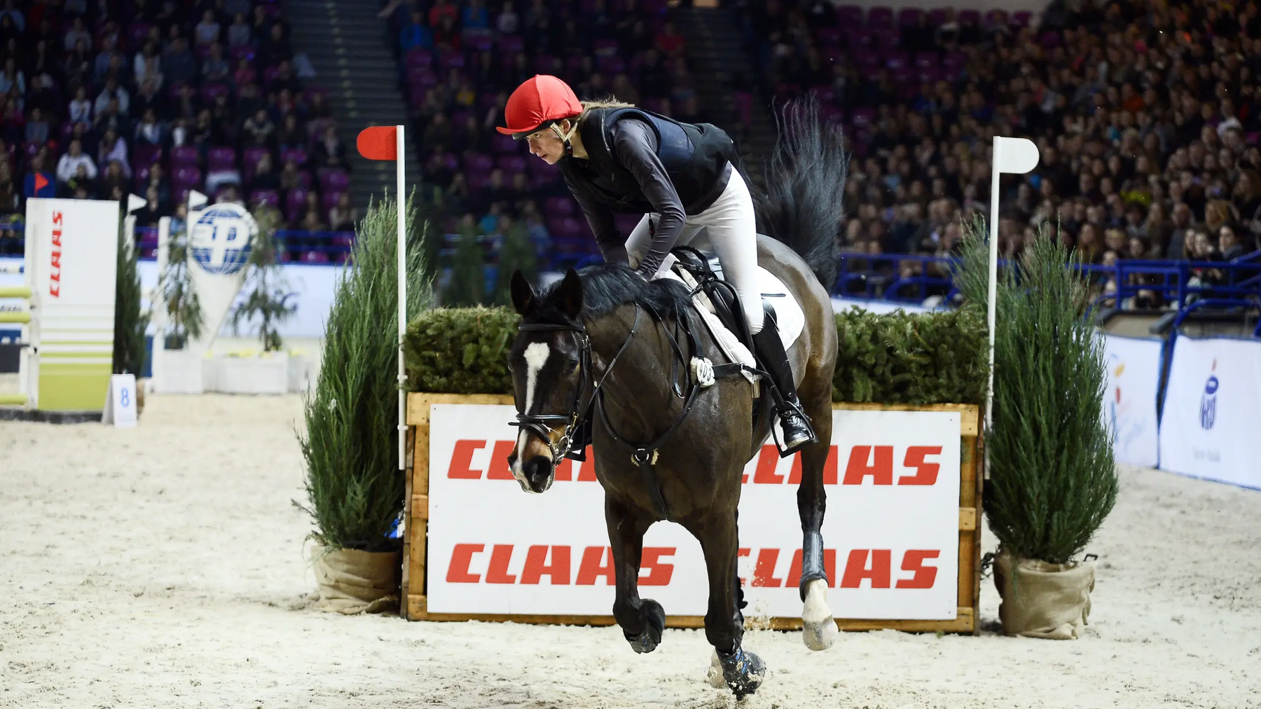 Kobieta w toczku skacząca na koniu przez przeszkody podczas cavaliady