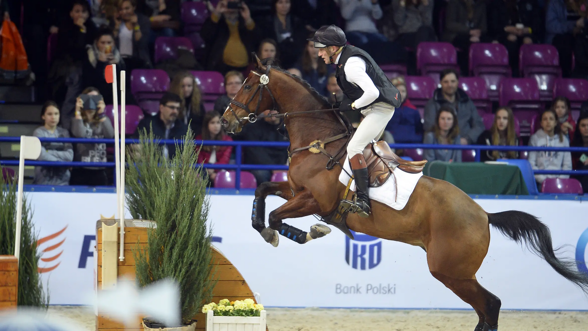 Mężczyzna w toczku skaczący na koniu przez przeszkody podczas cavaliady