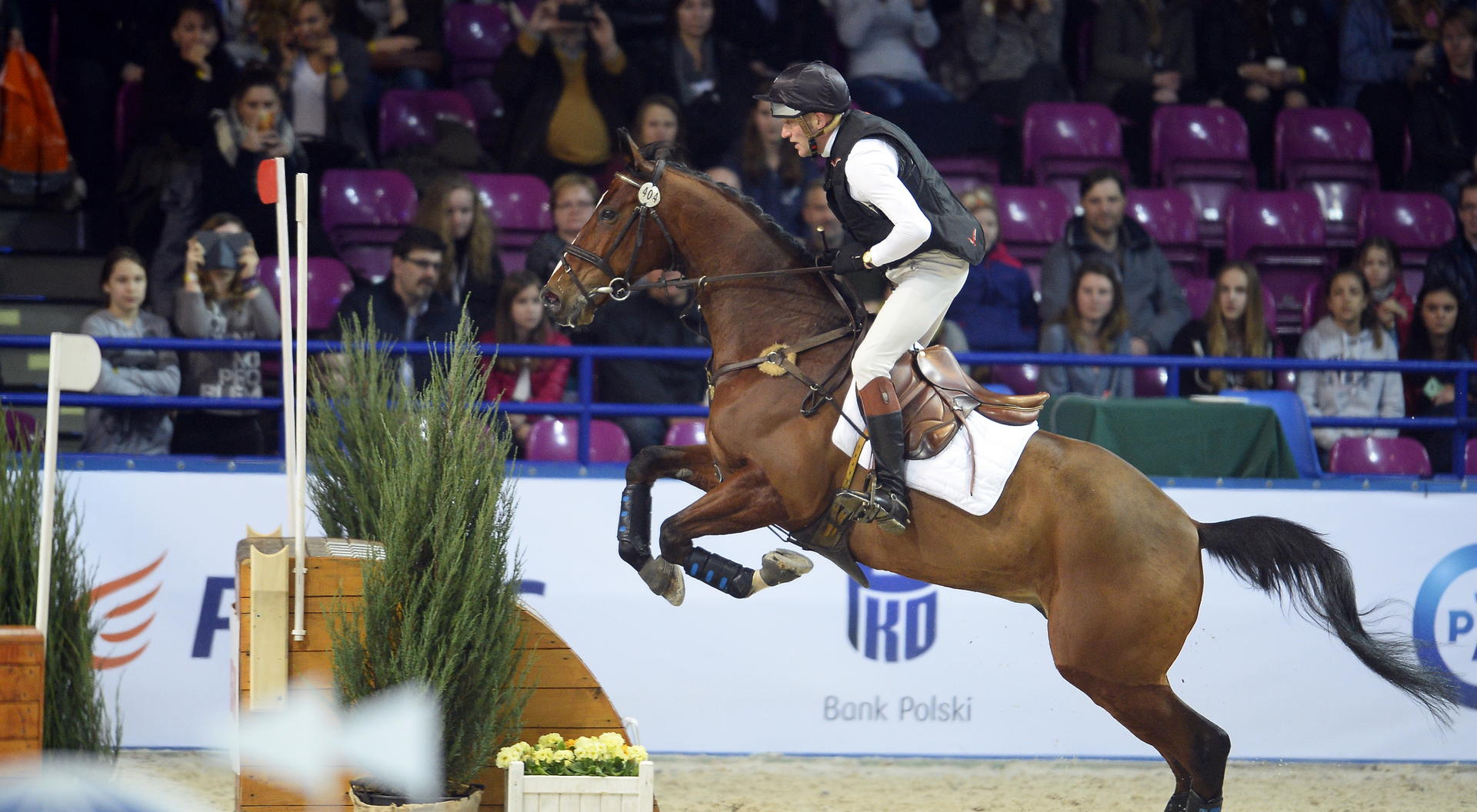 Mężczyzna w toczku skaczący na koniu przez przeszkody podczas cavaliady