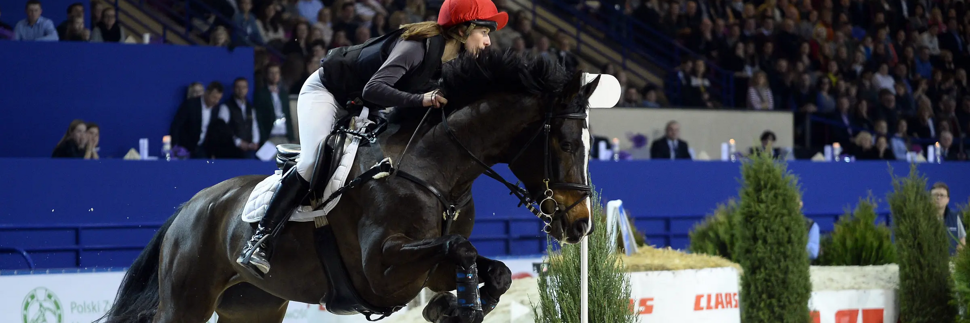 Kobieta w toczku skacząca na koniu przez przeszkody podczas cavaliady
