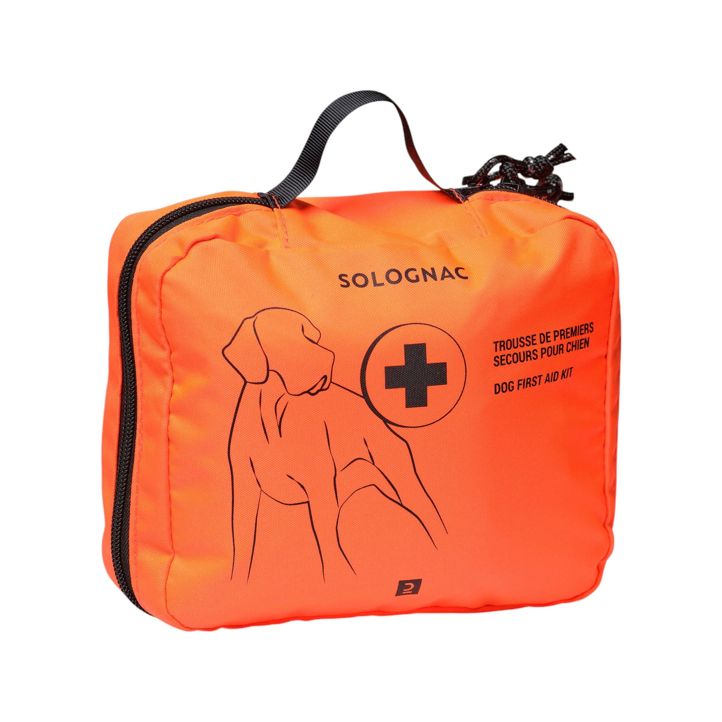 Accessoires pour chiens
