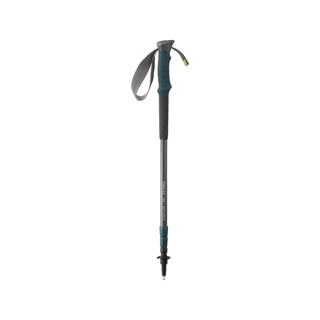 hiking pole