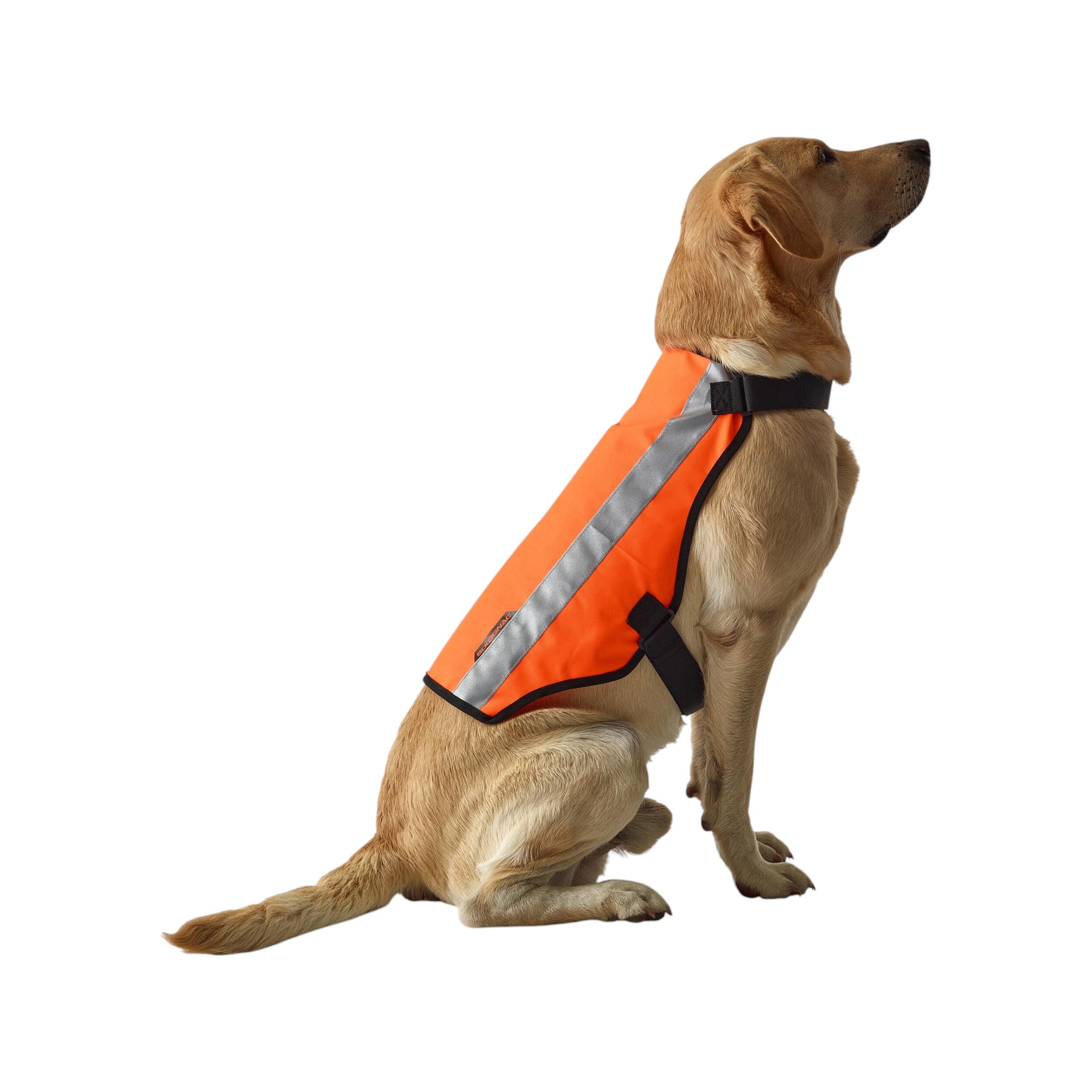 Accessori riflettenti per cani