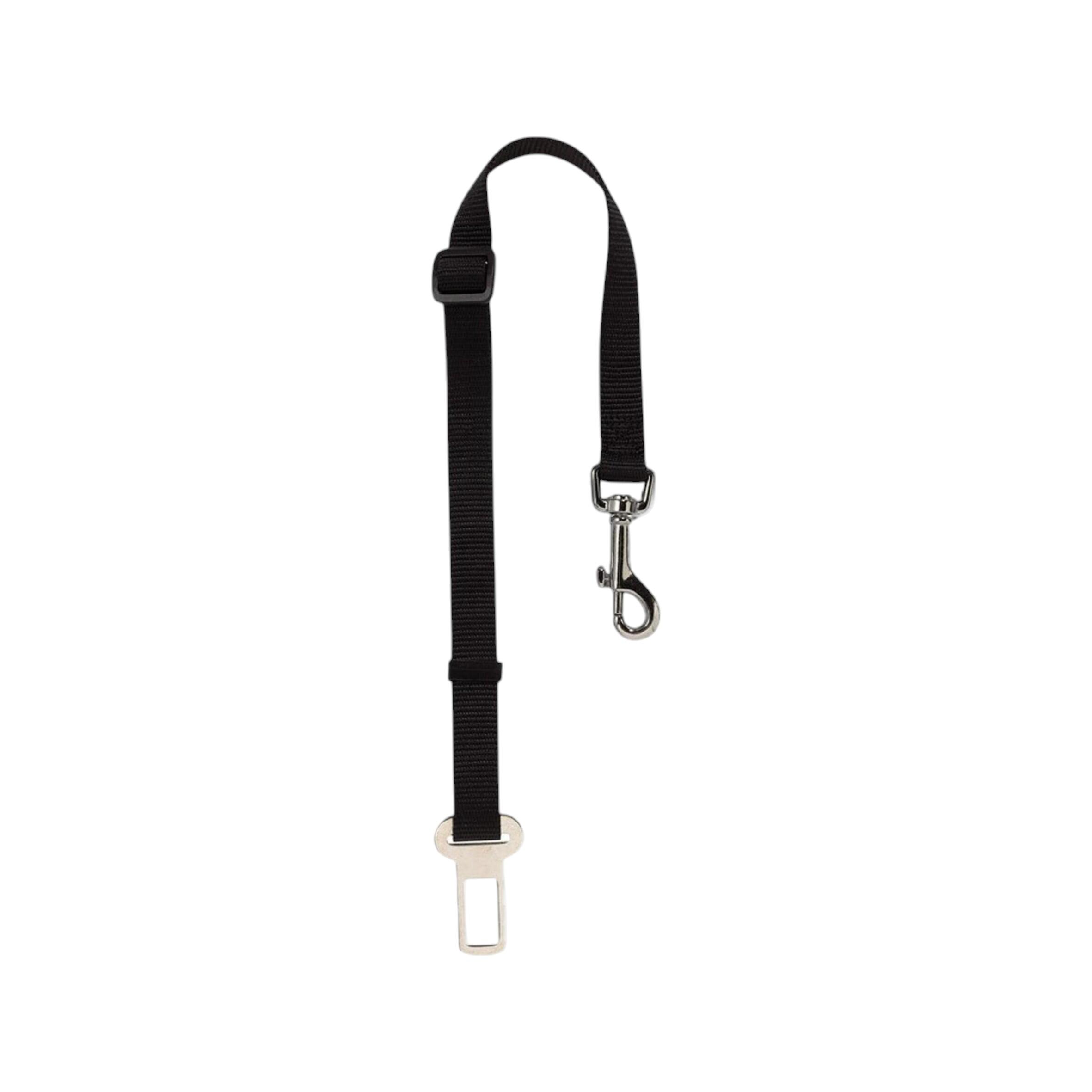 Accessori per auto per cani