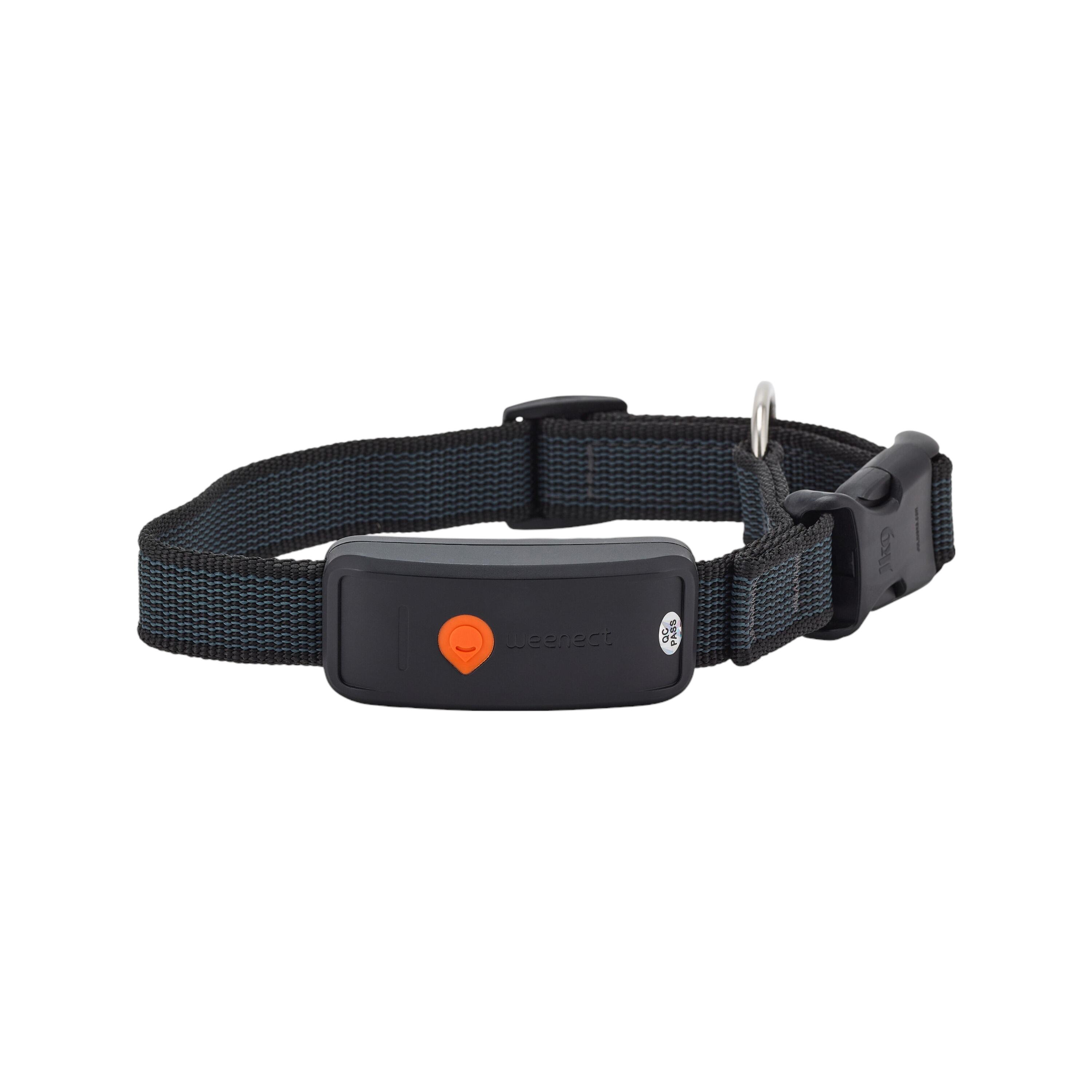 Collari GPS per cani