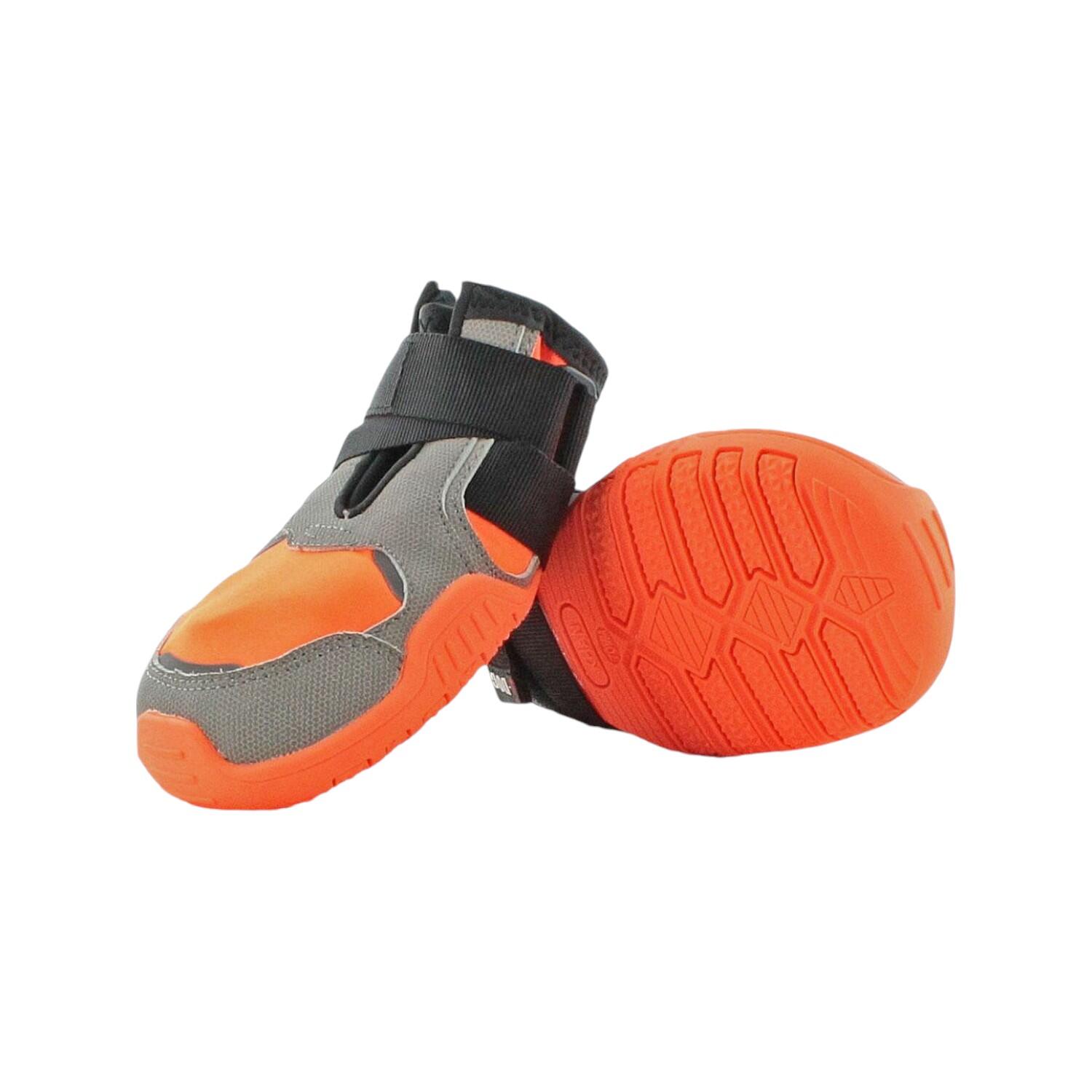 Scarpe per cani