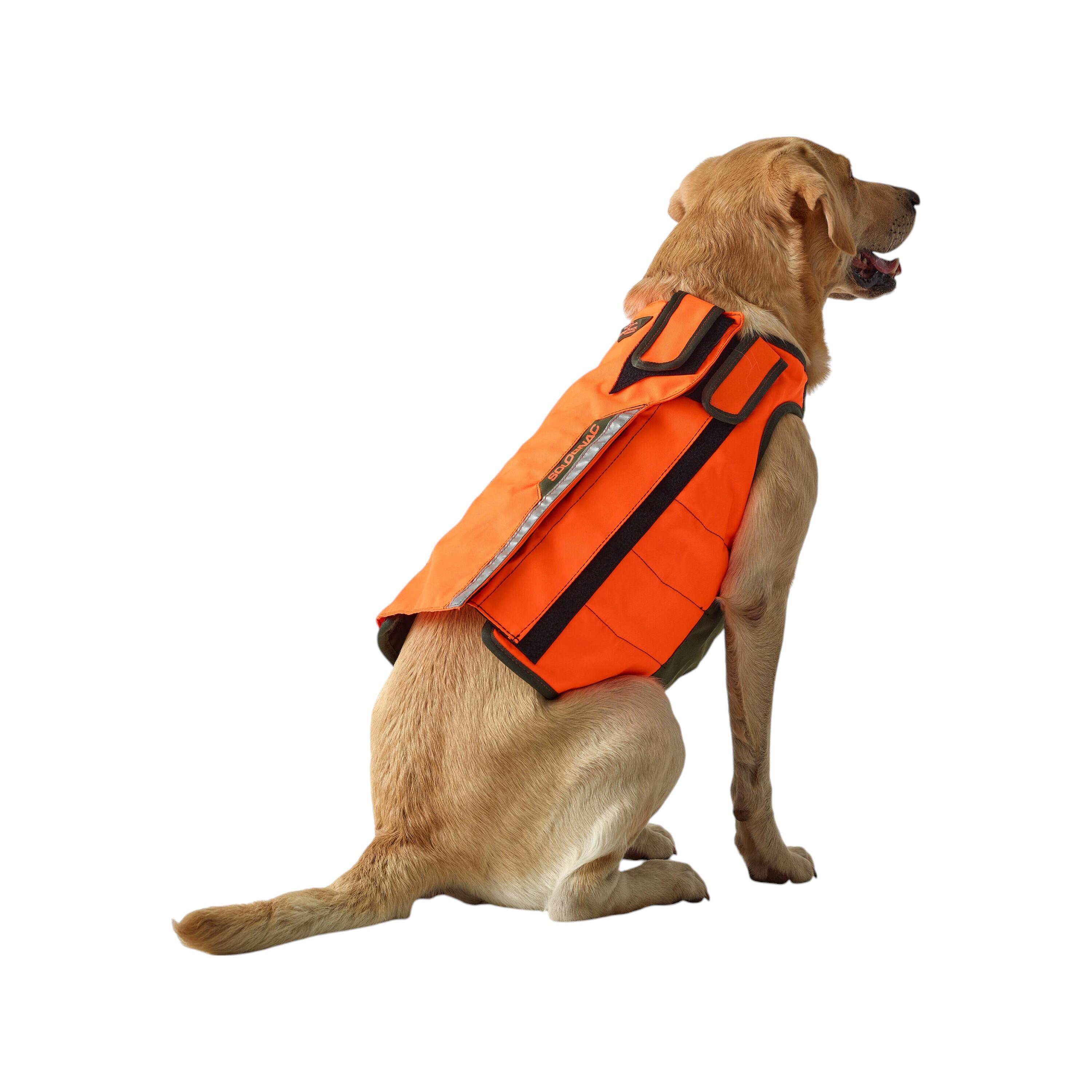 Gilets de chien