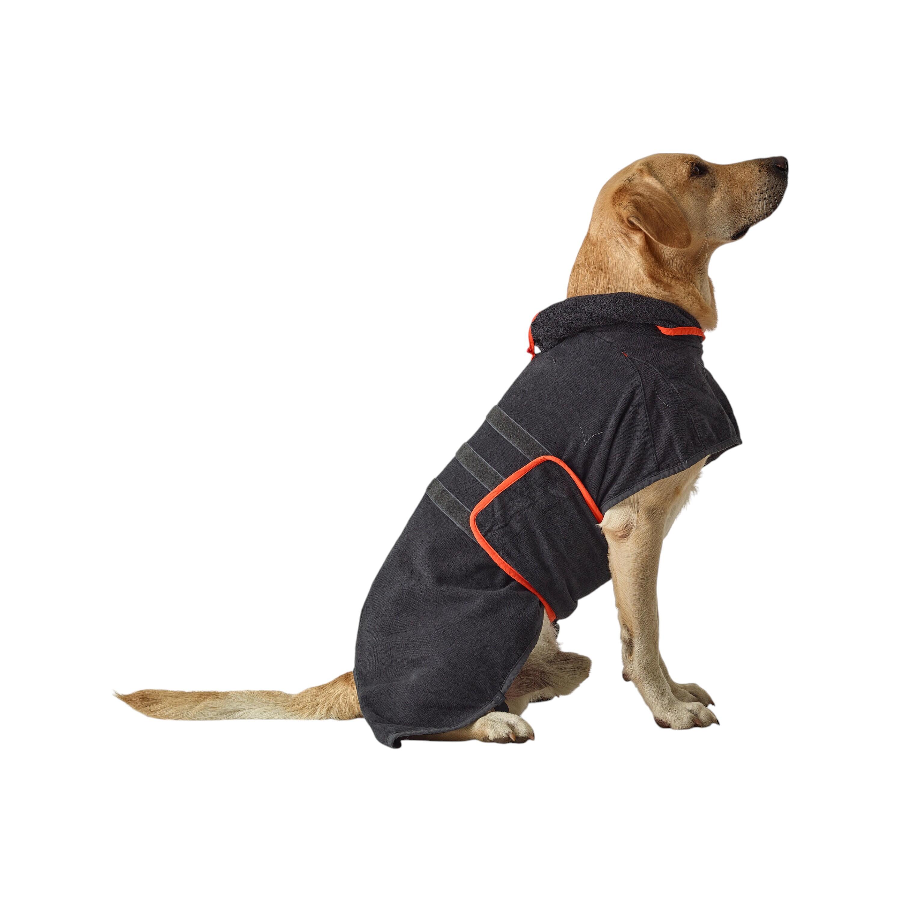 HONGECB Fischietti Professionali Per Cani, Ultrasuoni Fischio Fischietti, Fischietto Addestramento Cani, Frequenze Regolabili, Per L'addestramento Del Cane E Il Controllo Dell'abbaiare, 3 Pezzi : Amazon.it: Prodotti Per Animali Domestici