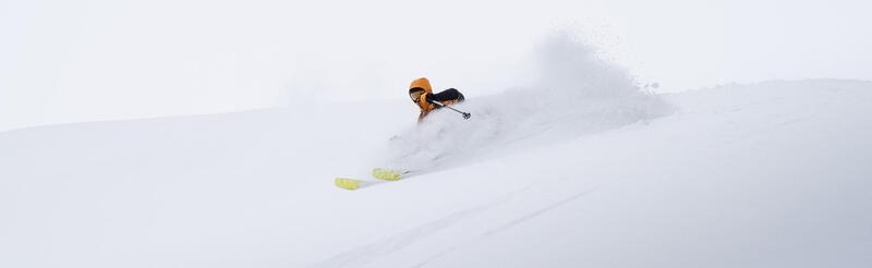 Rossignol – co to za firma?