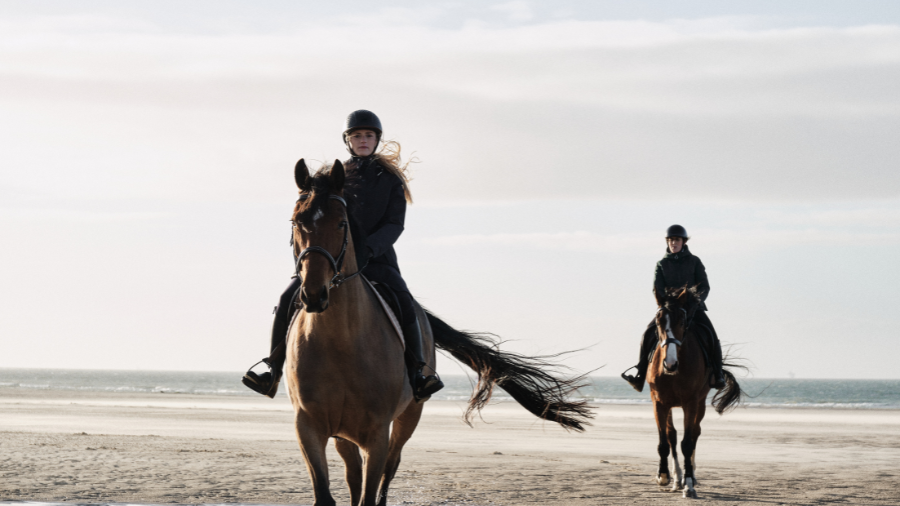 3 LUGARES DONDE PUEDES PRACTICAR EQUITACIÓN EN LA SABANA DE BOGOTÁ