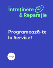 Programare la Service