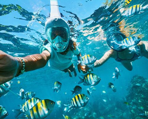SNORKELING