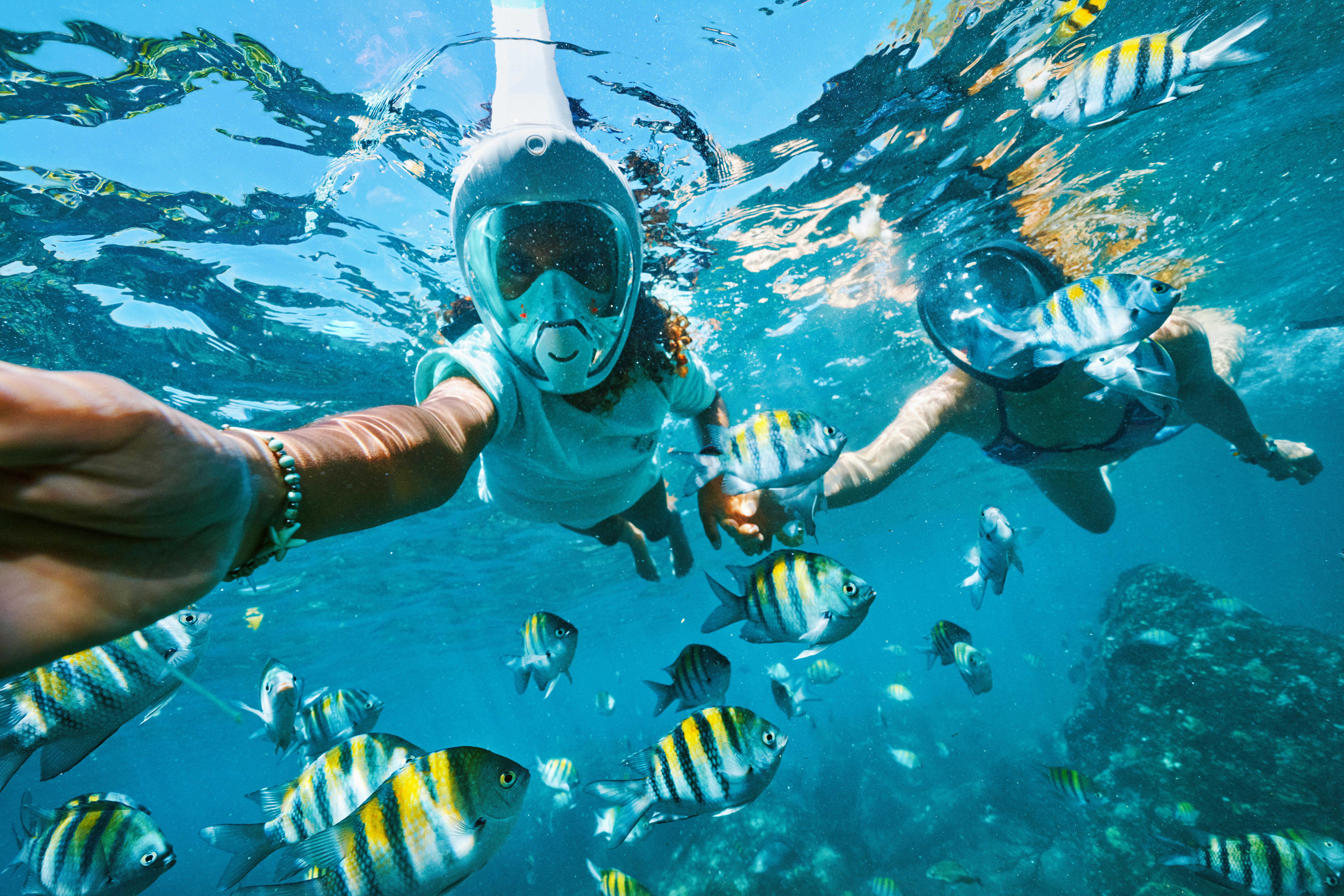 Snorkelen en duiken Rotterdam