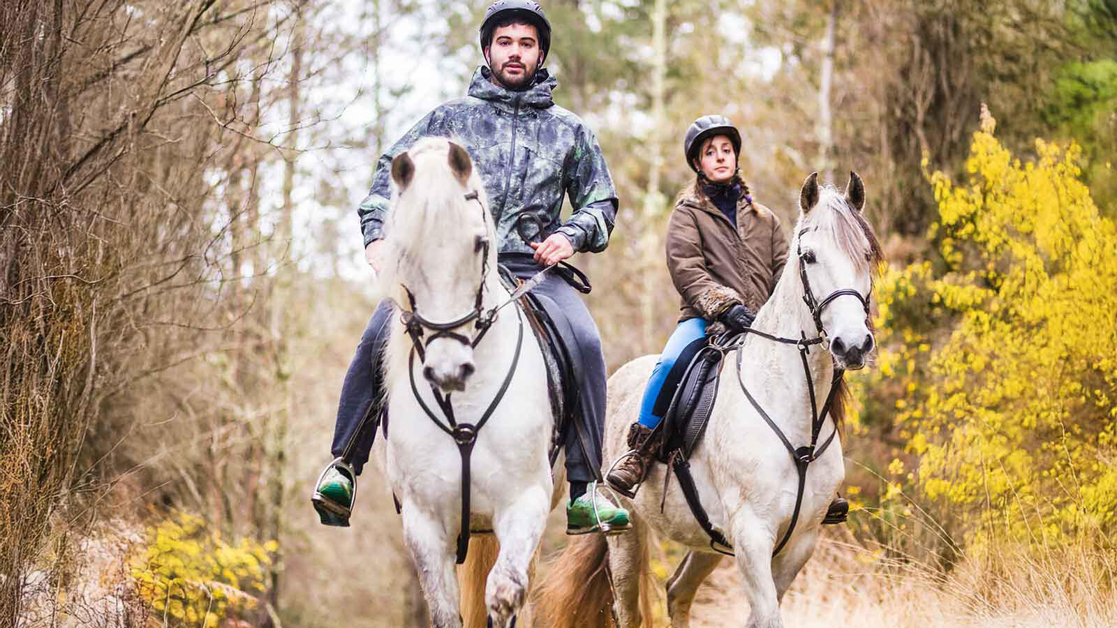 Para w toczkach jadąca na koniach po lesie