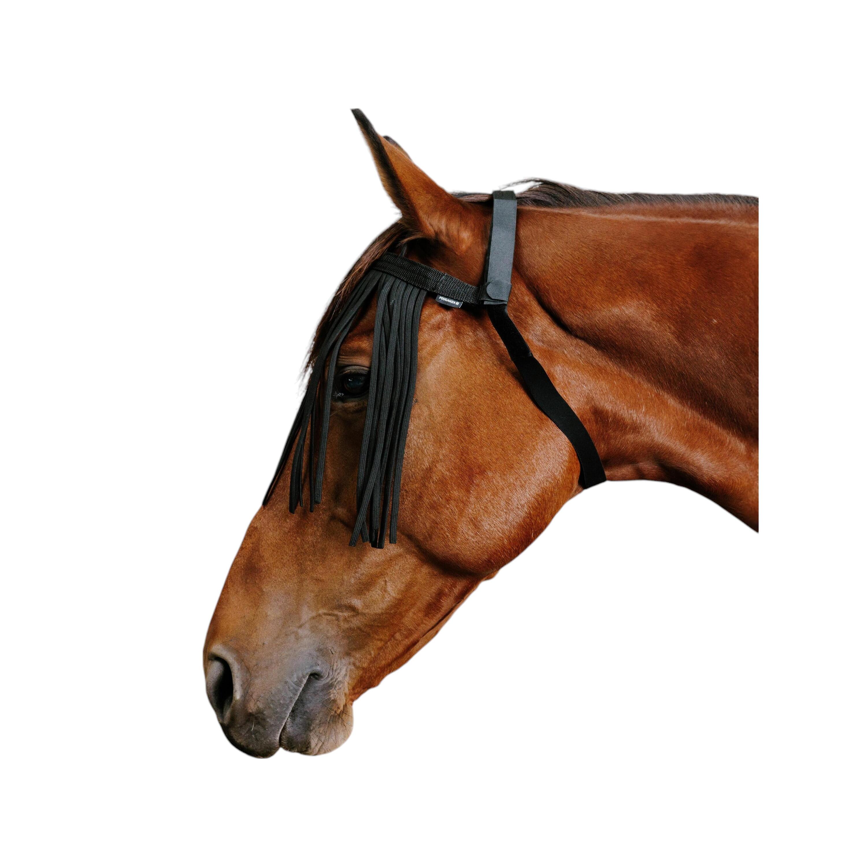 REPELLENTE ANTI MOSCHE CITRONELLA PER CAVALLI - Foto 10