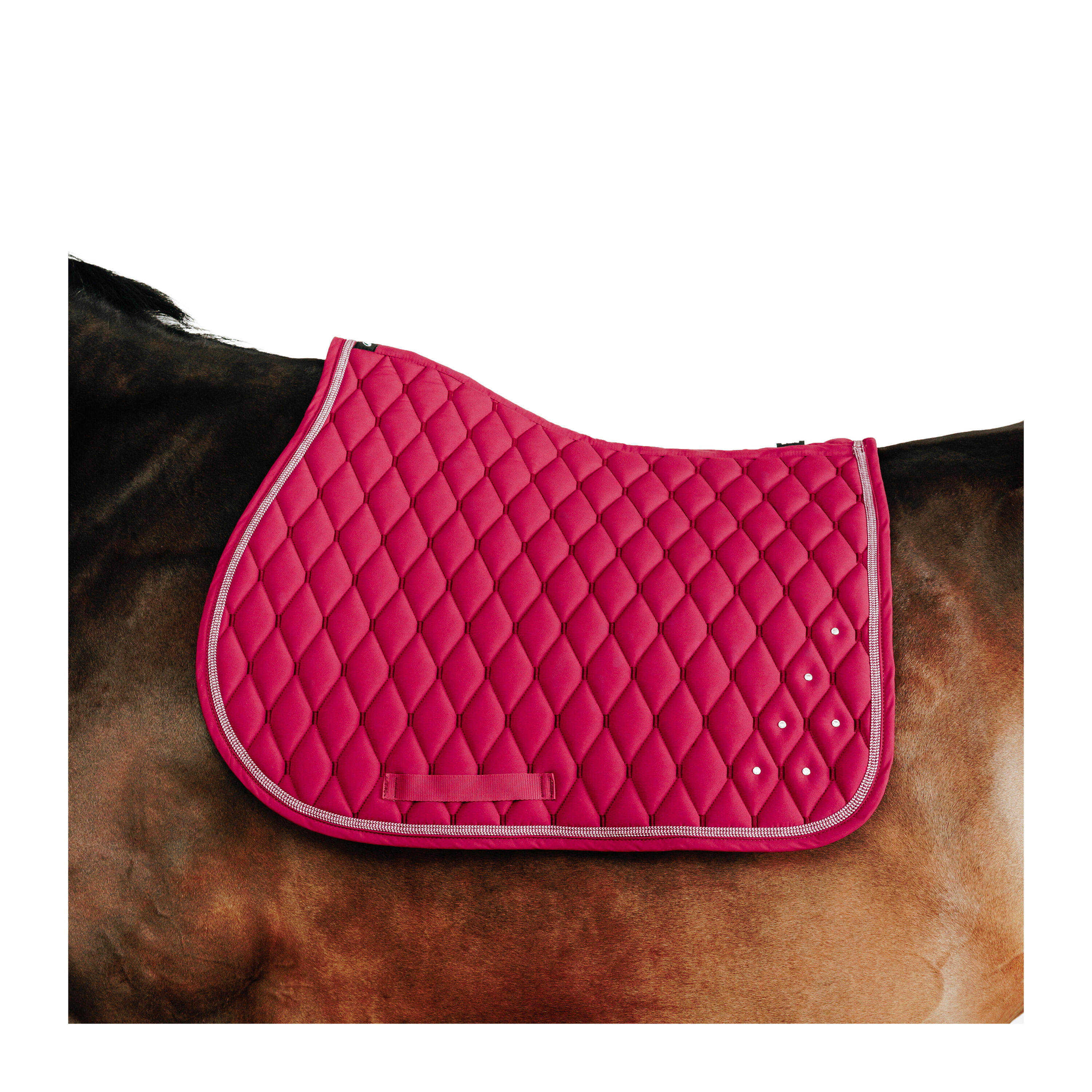 Sottosella pony
