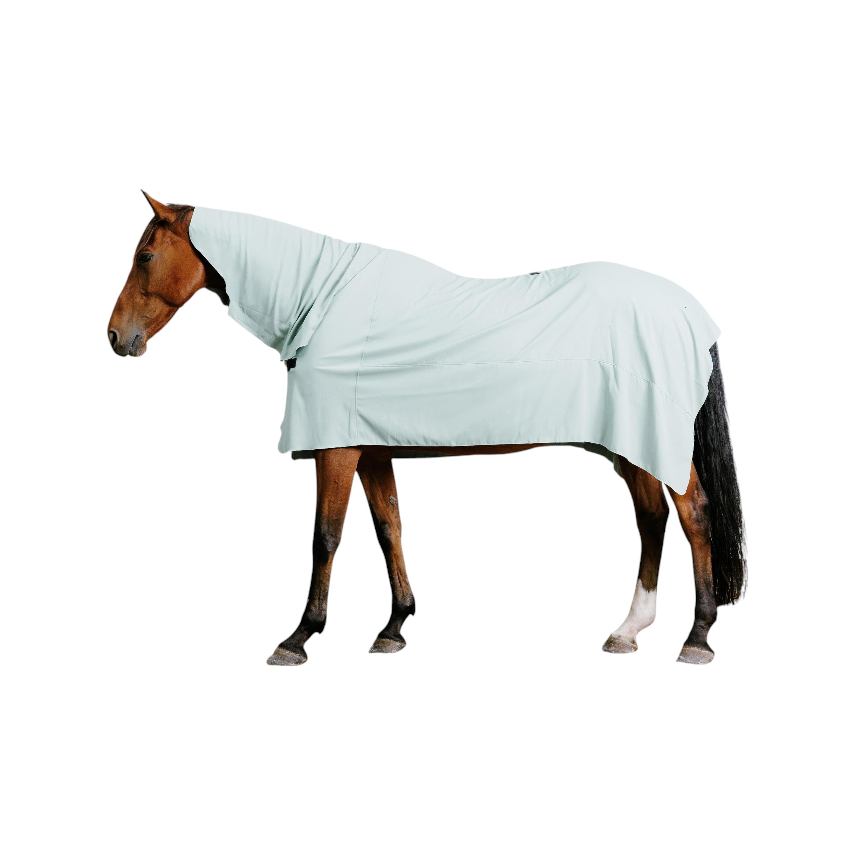 Coperte da asciugatura e accappatoi cavallo