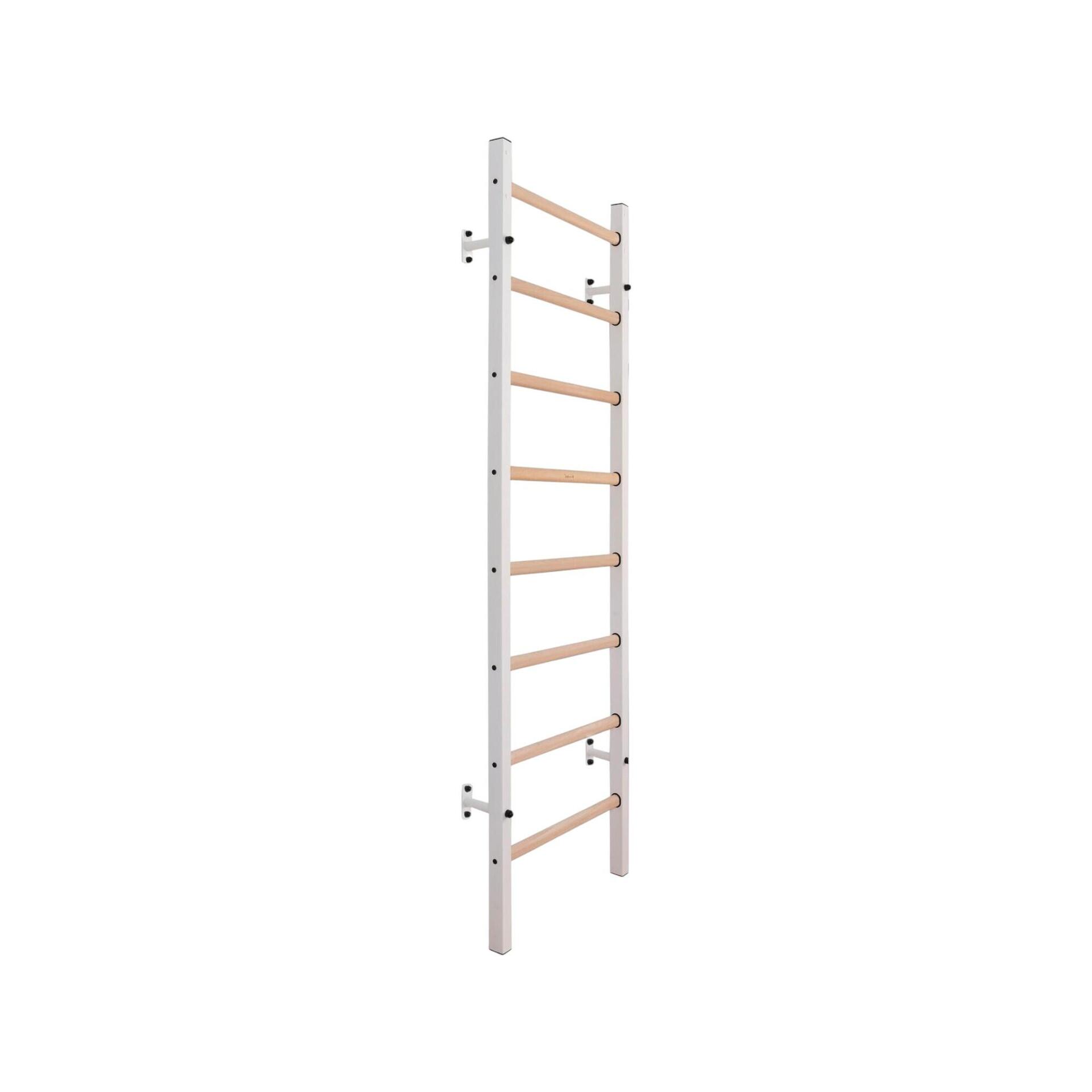 Squat rack e power rack: sicurezza e stabilità per l'allenamento forza ...