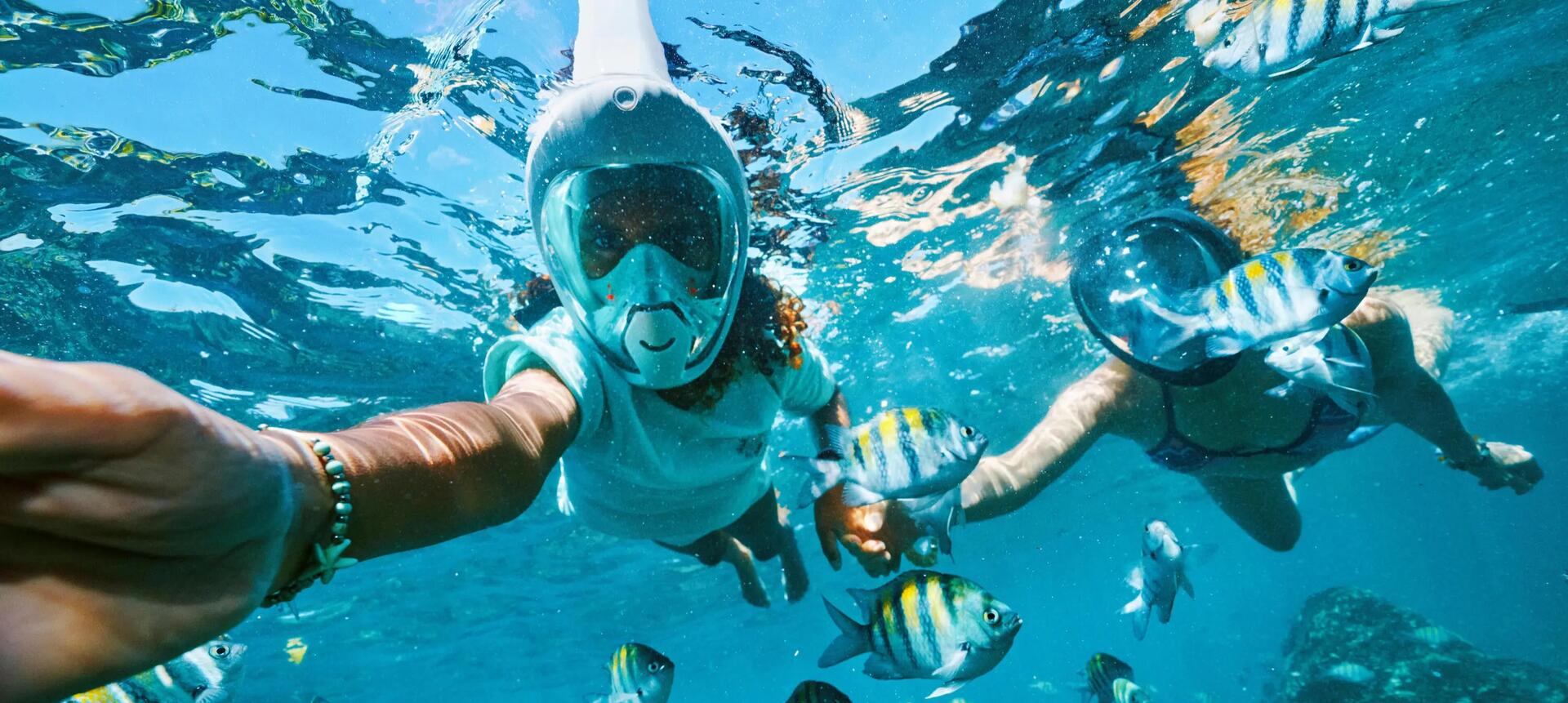 Snorkeling: Guide complet